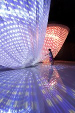 ミントデザインズ(mintdesigns) 森｜写真3