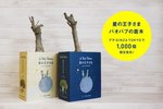 『星の王子さま』のバオバブの苗木、銀座ソニーパークで1,000個限定発売｜写真1