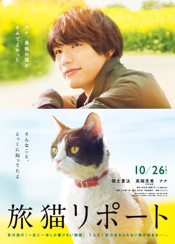 愛猫家に捧げる"ネコ映画"特集『世界から猫が消えたなら』『ボブという名の猫』『ねことじいちゃん』など｜写真14