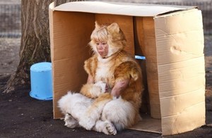 愛猫家に捧げる ネコ映画 特集 世界から猫が消えたなら ボブという名の猫 ねことじいちゃん など ファッションプレス 愛猫家に捧げる ネコ映画 特集 世界から猫が消えたなら ボブという名の猫 ねことじいちゃん など ファッションプレス
