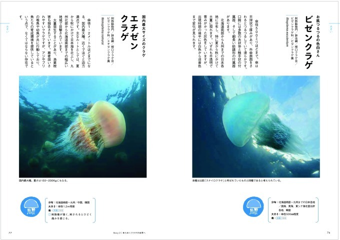 書籍『ときめくクラゲ図鑑』幻想的な写真とともに“謎多き”クラゲに迫る | 写真