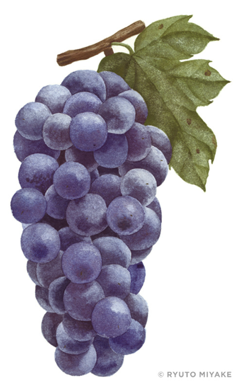 SUDNAY ISSUEが新マネジメント事業展開を記念して注目若手作家の2人展覧会｜写真3