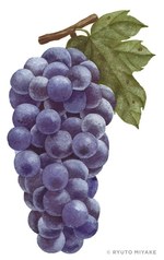 SUDNAY ISSUEが新マネジメント事業展開を記念して注目若手作家の2人展覧会｜写真3