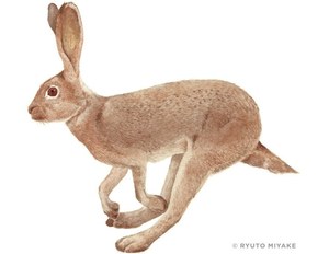 SUDNAY ISSUEが新マネジメント事業展開を記念して注目若手作家の2人展覧会｜写真2