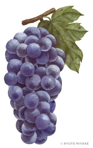 SUDNAY ISSUEが新マネジメント事業展開を記念して注目若手作家の2人展覧会｜写真3