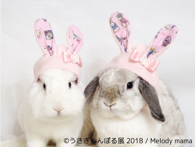 うさぎしんぼる展 18 東京 名古屋で うさぎの写真 グッズ計1 000点以上を展示販売 ファッションプレス うさぎしんぼる展 18 東京 名古屋で うさぎの写真 グッズ計1 000点以上を展示販売 ファッションプレス