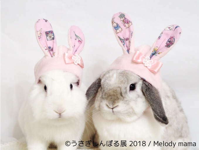 「うさぎしんぼる展 2018」東京＆名古屋で、うさぎの写真＆グッズ計1,000点以上を展示販売｜写真31