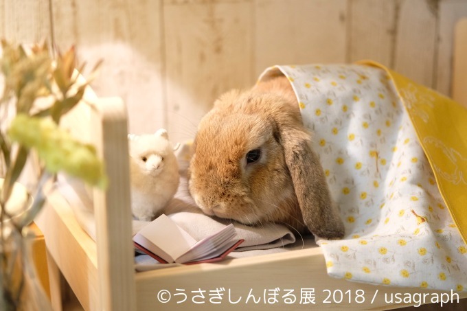 「うさぎしんぼる展 2018」東京＆名古屋で、うさぎの写真＆グッズ計1,000点以上を展示販売｜写真18