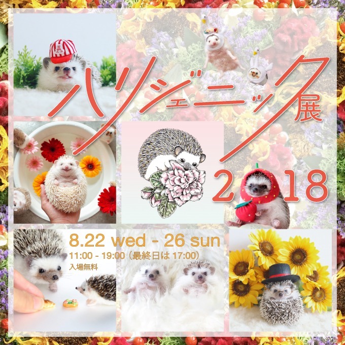 ハリネズミの写真展＆グッズ販売会「ハリジェニック展2018」が表参道で開催｜写真1