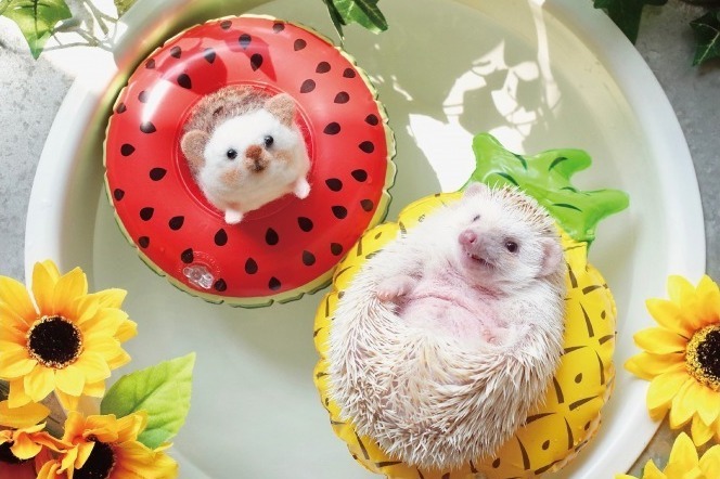 「ハリジェニック展2018」