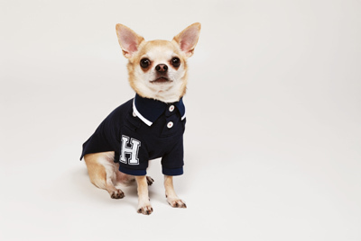 トミー ヒルフィガー