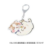 「ねこ休み展 総集編 in 新宿高島屋」懐かしの名作写真が集結、超巨⼤ぬいぐるみも｜写真65