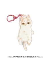 「ねこ休み展 総集編 in 新宿高島屋」懐かしの名作写真が集結、超巨⼤ぬいぐるみも｜写真31