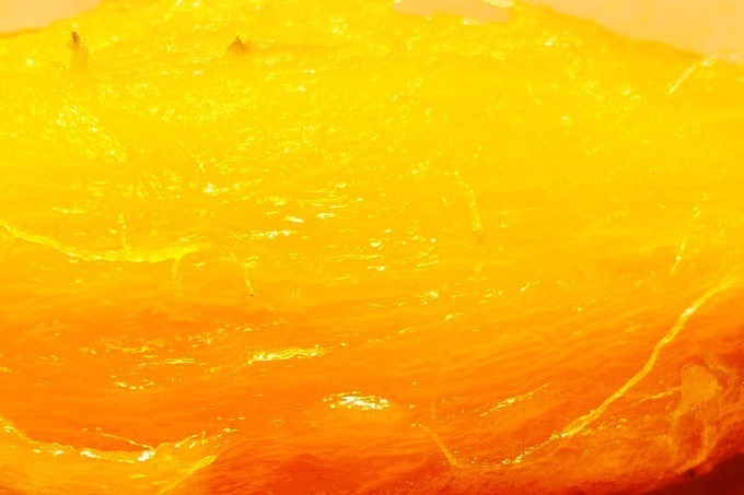 焼き芋フェス「品川やきいもテラス 2019」高級ブランド芋や蜜が溢れ出す極上の一本が全国から集結｜写真39