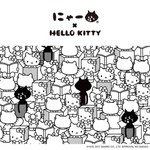 にゃー(NYA-) にゃー｜写真16