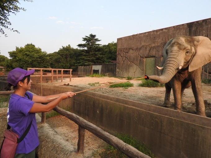 東武動物公園で秋の夜間営業イベント「オータムナイト ZOO」動物たちの夜の生態を観察｜写真5