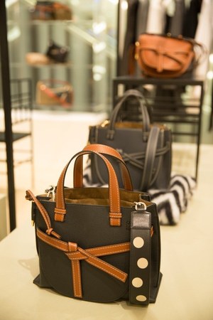 LOEWE ゲートトップハンドルミニバッグ