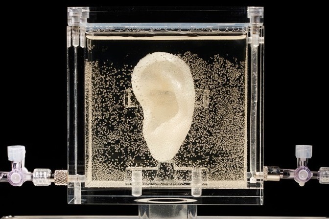 「2018年のフランケンシュタイン」