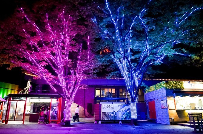 大井競馬場で「TOKYO MEGA ILLUMINATION」開催、関東最大級の約800万球規模｜写真30