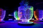 大井競馬場で「TOKYO MEGA ILLUMINATION」開催、関東最大級の約800万球規模｜写真31