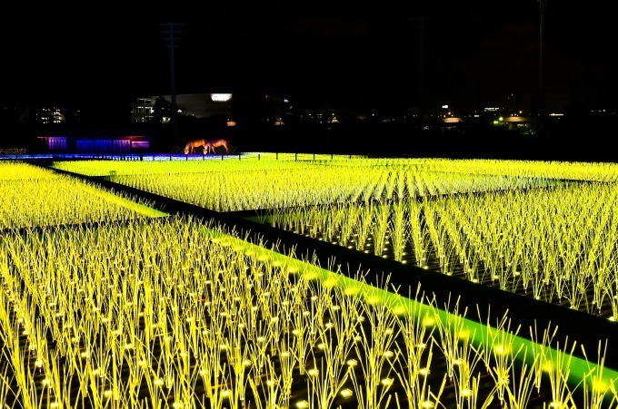 大井競馬場で「TOKYO MEGA ILLUMINATION」開催、関東最大級の約800万球規模｜写真12