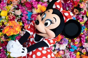 東京ディズニーランド 蜷川実花のコラボグッズ ミニーマウス デイジーダックのクッションやミラー ファッションプレス