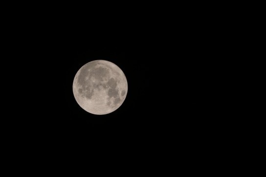 「中秋の名月 観月会」