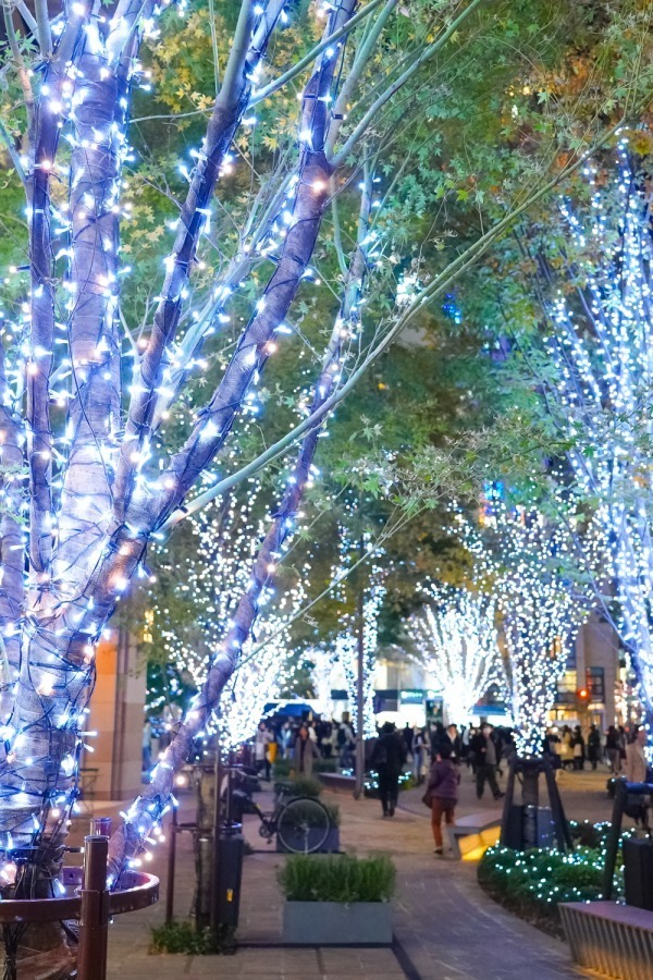 東京ミッドタウン日比谷の初イルミネーション、宇宙を表現したクリスマスツリー＆季節で変わるライトアップ｜写真12