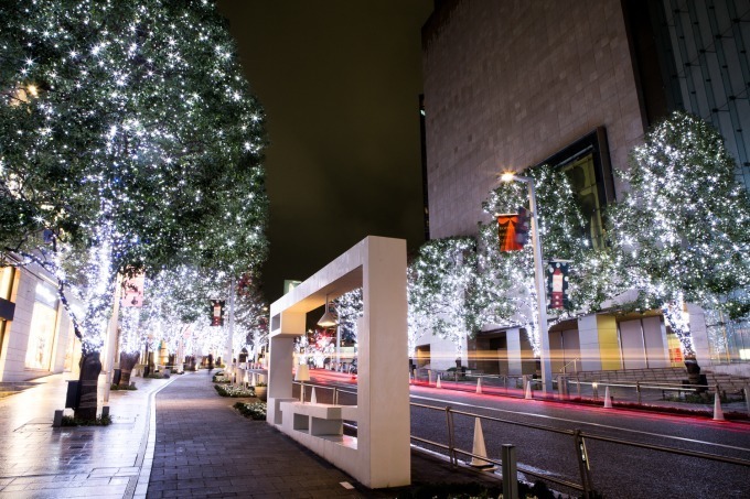 六本木ヒルズのクリスマス、冬の風物詩「けやき坂イルミネーション」はじめ“大人の夜”を演出 | 写真