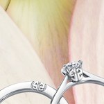 サバース(SA BIRTH) サバース ギンザ｜写真2