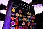 エスティ ローダー(Estée Lauder) フラワーズバイネイキッド｜写真19
