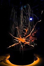 エスティ ローダー(Estée Lauder) フラワーズバイネイキッド｜写真9