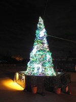 東武動物公園のウィンターイルミネーション、初の“劇場型”プロジェクションマッピングも｜写真8