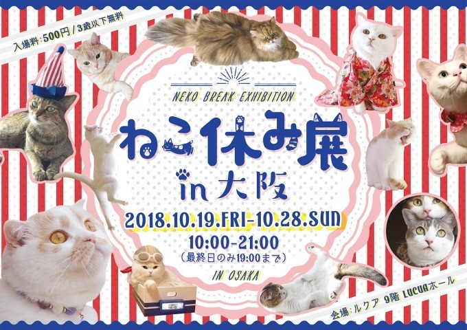 写真展＆物販展「ねこ休み展」がルクア大阪で、ハロウィン猫の新作展示＆会場限定カレンダーも｜写真25