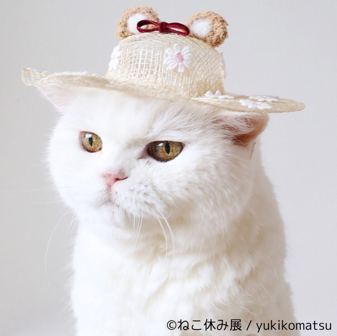 写真展＆物販展「ねこ休み展」がルクア大阪で、ハロウィン猫の新作展示＆会場限定カレンダーも｜写真17