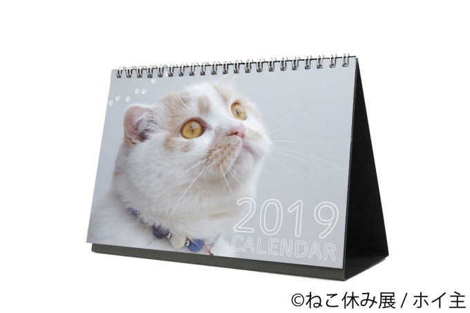 写真展＆物販展「ねこ休み展」がルクア大阪で、ハロウィン猫の新作展示＆会場限定カレンダーも｜写真24