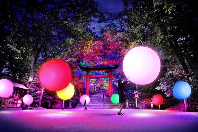 大分で「宇佐神宮 光の祭 Art by teamLab」国宝が光のデジタルアート空間に｜写真1