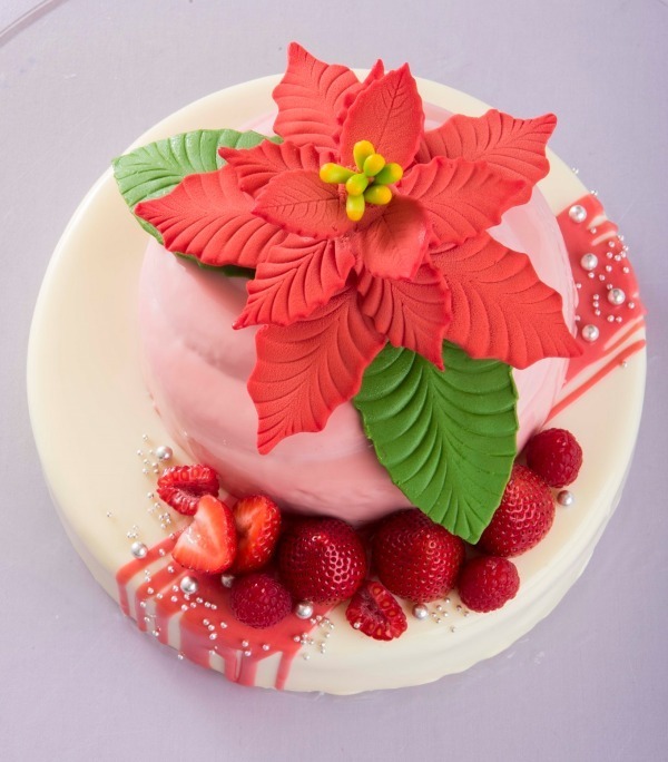 リーガロイヤルホテル東京"ポインセチア"チョコのクリスマスケーキ、ベリー入りレアチーズケーキも｜写真1