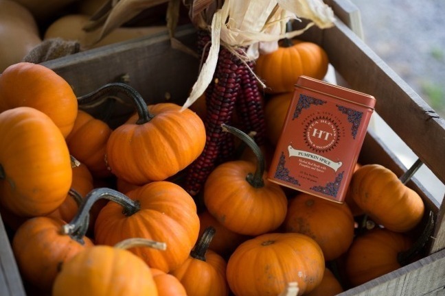 ハーニー＆サンズ「ハーニー＆サンズ」のパンプキンパイ風ハロウィン限定紅茶「パンプキン・スパイス」