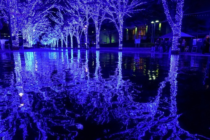 『青の洞窟 SHIBUYA』渋谷公園通り～代々木公園ケヤキ並木が青一色に染まる｜写真14