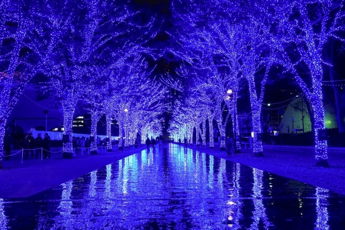 『青の洞窟 SHIBUYA』渋谷公園通り～代々木公園ケヤキ並木が青一色に染まる｜写真13