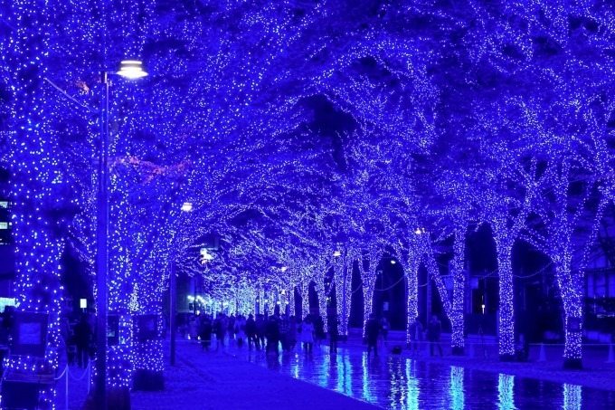 『青の洞窟 SHIBUYA』渋谷公園通り～代々木公園ケヤキ並木が青一色に染まる｜写真15