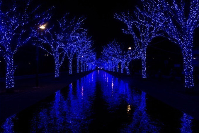 『青の洞窟 SHIBUYA』渋谷公園通り～代々木公園ケヤキ並木が青一色に染まる｜写真20