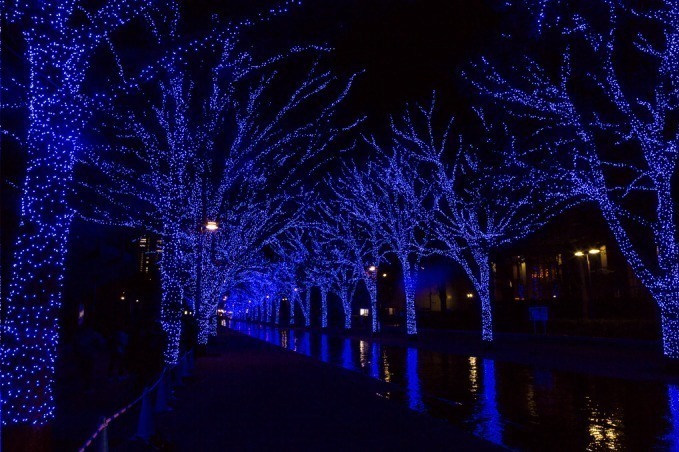 『青の洞窟 SHIBUYA』渋谷公園通り～代々木公園ケヤキ並木が青一色に染まる｜写真19