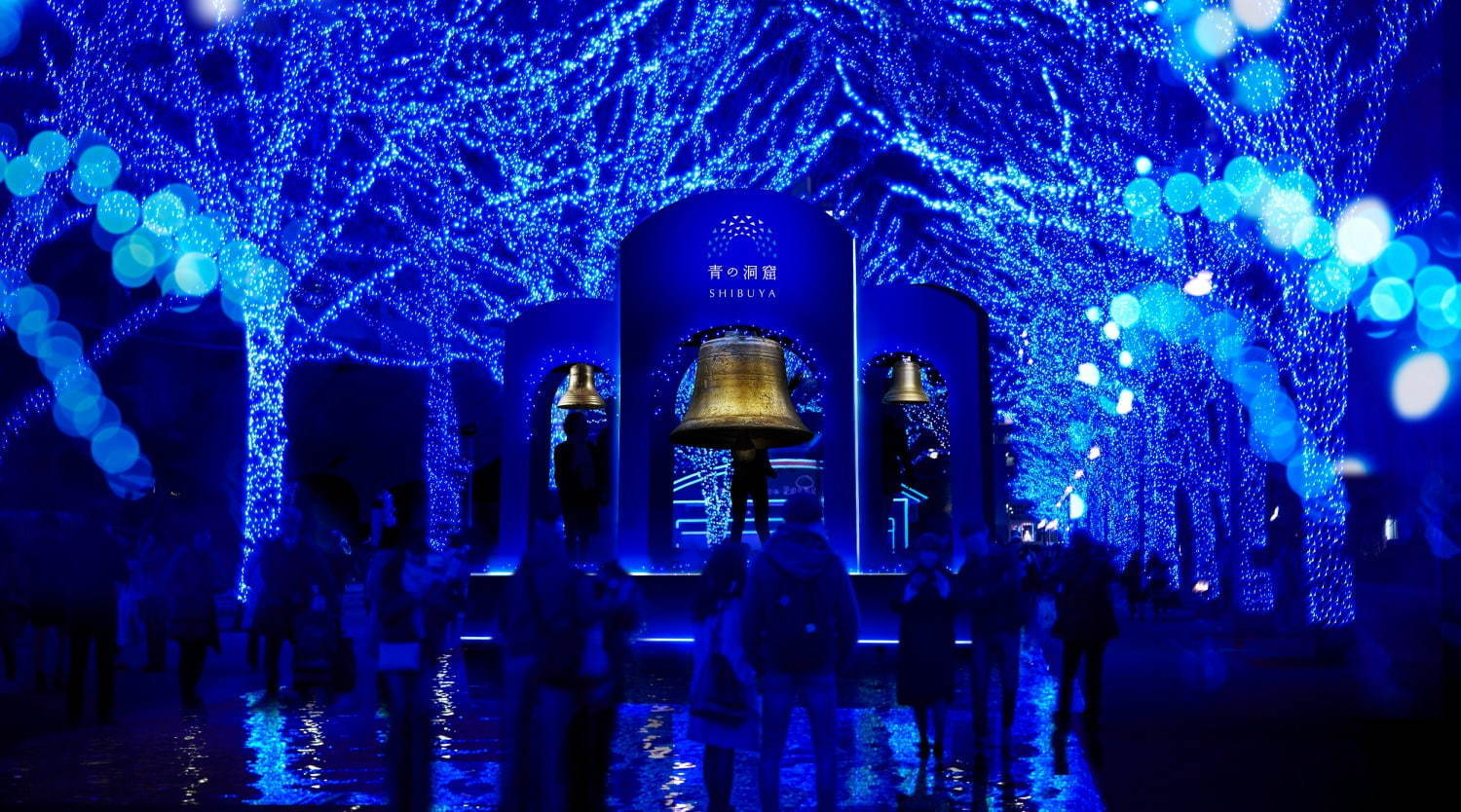 『青の洞窟 SHIBUYA』渋谷公園通り～代々木公園ケヤキ並木が青一色に染まる｜写真21
