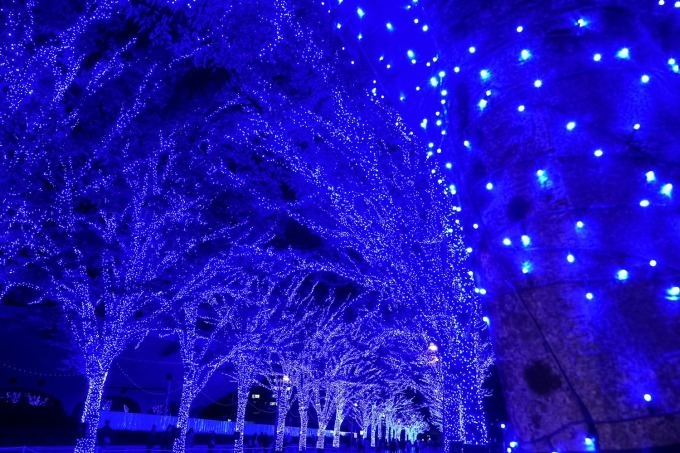 『青の洞窟 SHIBUYA』渋谷公園通り～代々木公園ケヤキ並木が青一色に染まる｜写真16