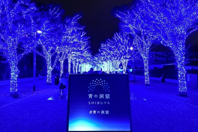『青の洞窟 SHIBUYA』渋谷公園通り～代々木公園ケヤキ並木が青一色に染まる｜写真17