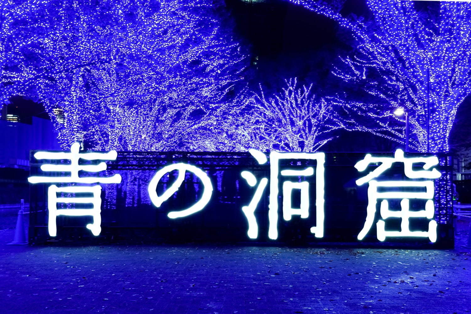 『青の洞窟 SHIBUYA』渋谷公園通り～代々木公園ケヤキ並木が青一色に染まる｜写真5