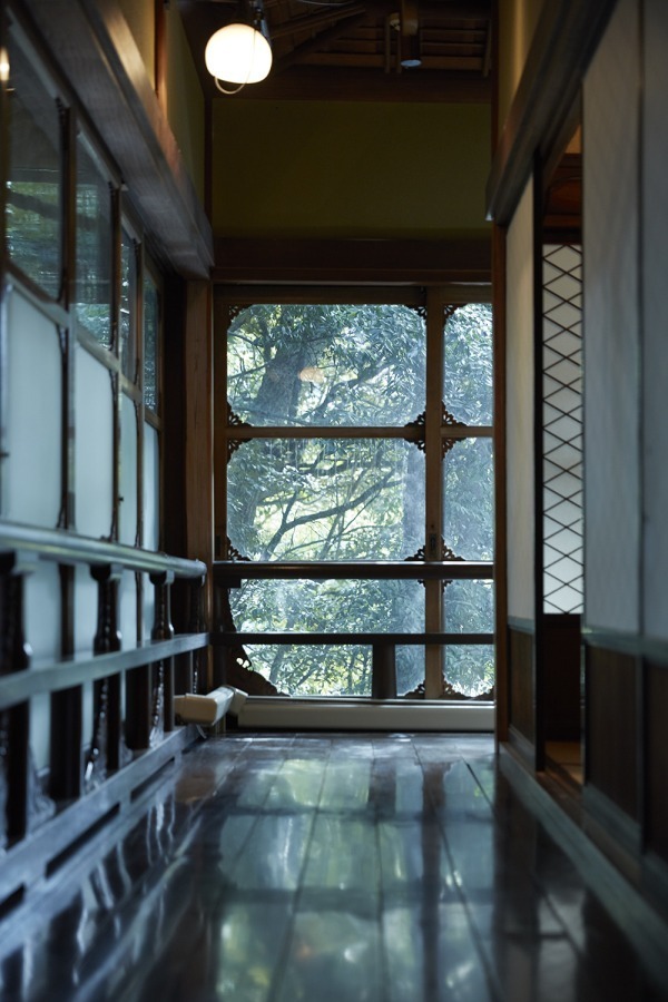 ホテル雅叙園東京「百段階段」特別展、荒木十畝の花鳥画などをモーショングラフィックスで解説｜写真6
