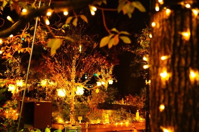 「オモハラ イルミネーション」